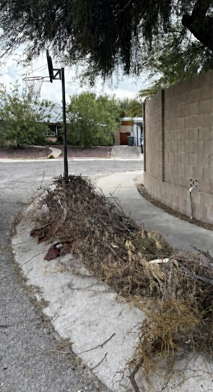 Tucson curb and walkway buried under a pile of cut brush, palm fronds, and yard debris
